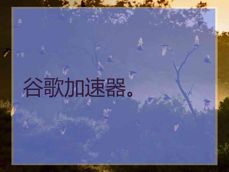 谷歌加速器。