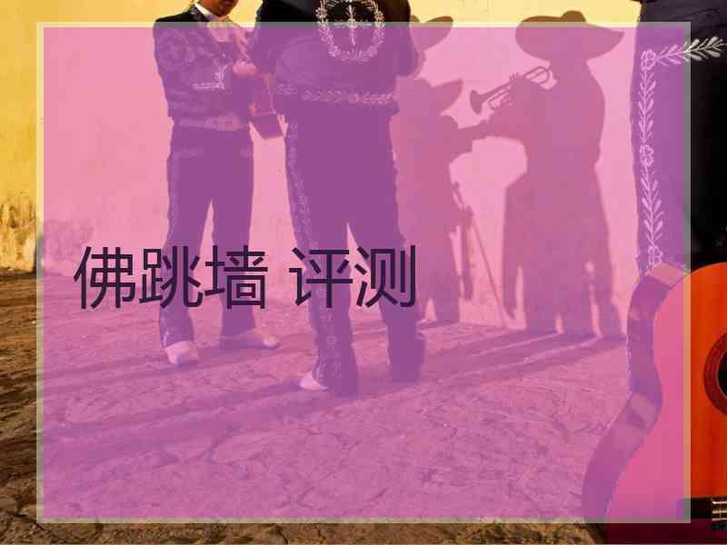 佛跳墙 评测
