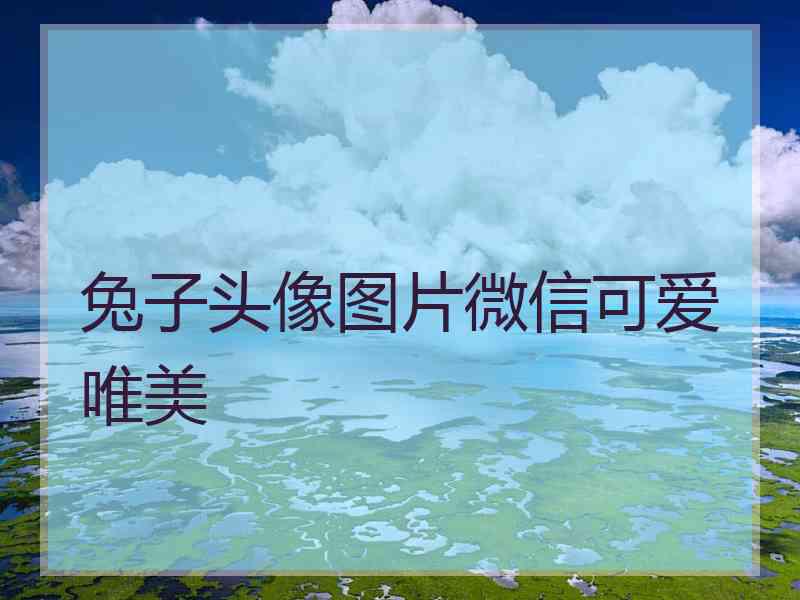 兔子头像图片微信可爱唯美