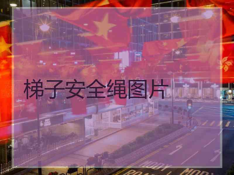 梯子安全绳图片
