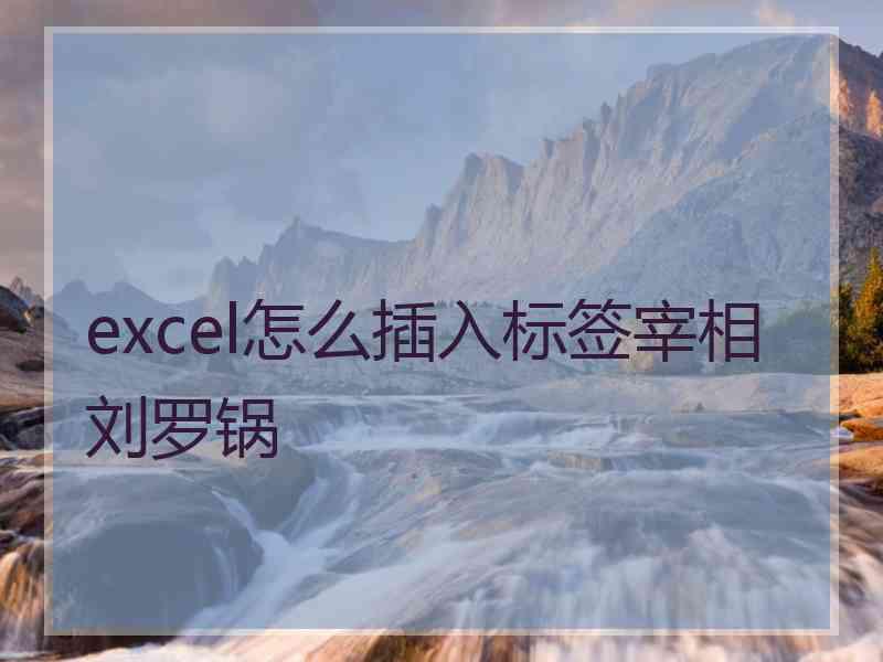 excel怎么插入标签宰相刘罗锅