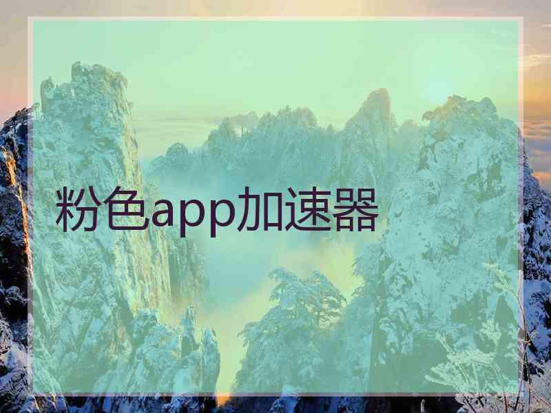 粉色app加速器