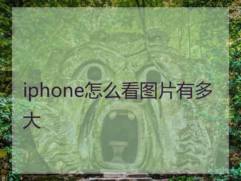 iphone怎么看图片有多大
