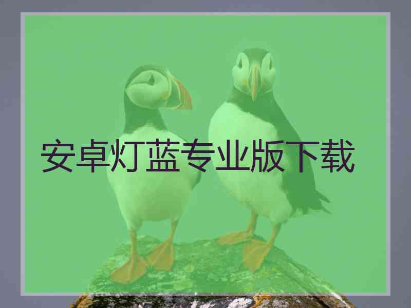 安卓灯蓝专业版下载