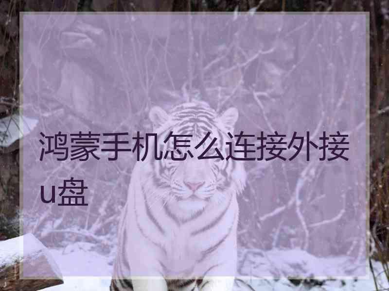 鸿蒙手机怎么连接外接u盘