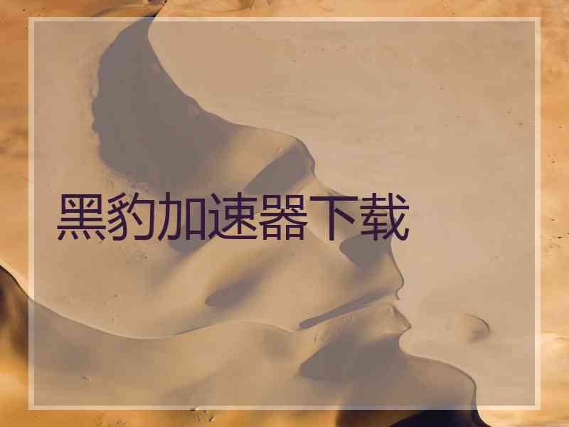黑豹加速器下载
