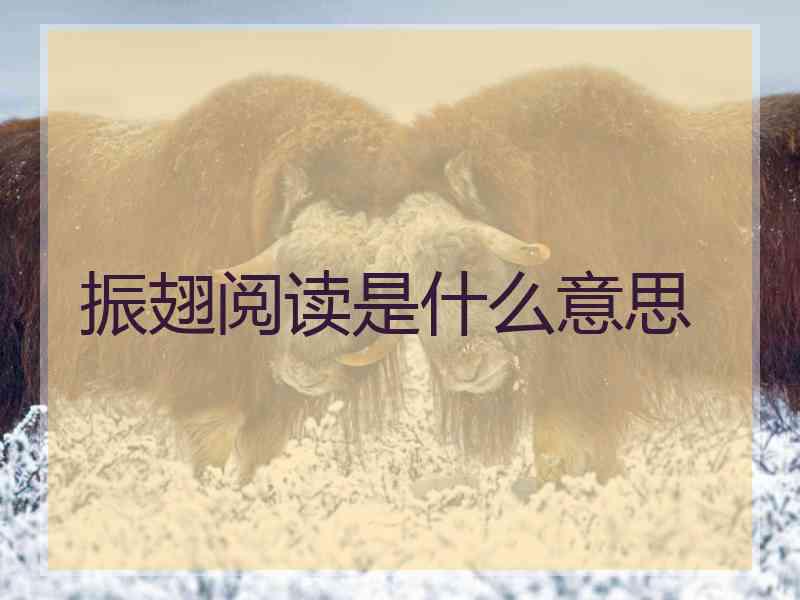振翅阅读是什么意思
