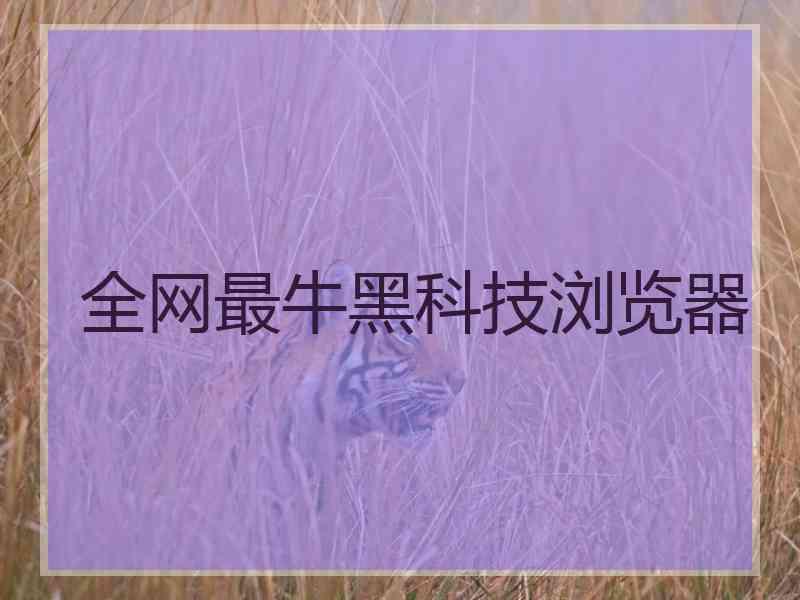 全网最牛黑科技浏览器
