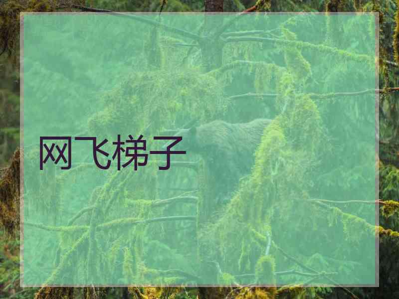 网飞梯子