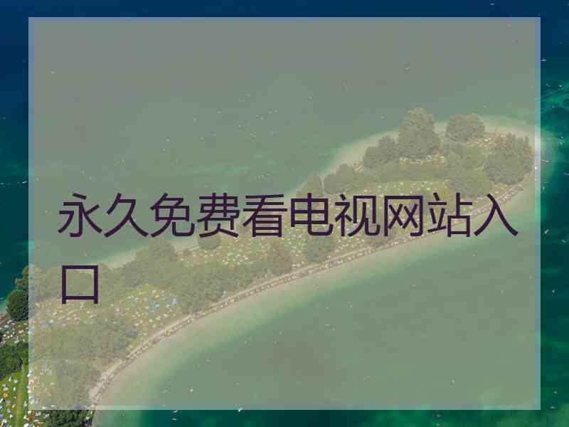 永久免费看电视网站入口