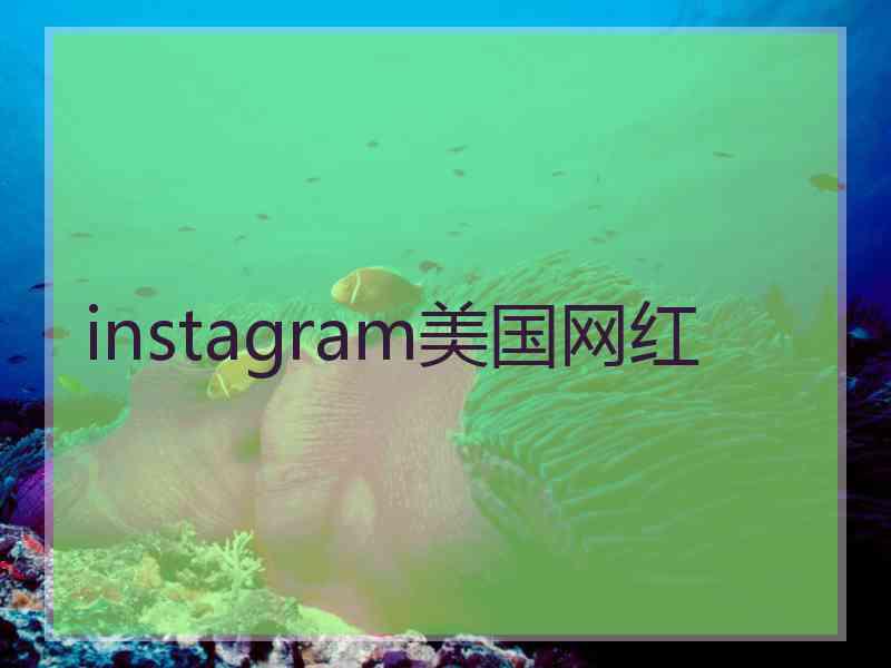 instagram美国网红