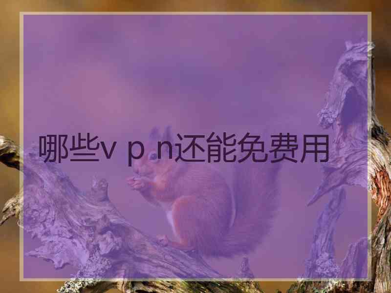 哪些v p n还能免费用