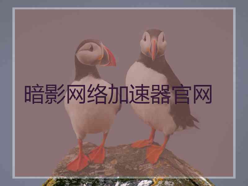 暗影网络加速器官网