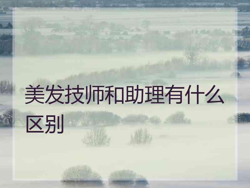 美发技师和助理有什么区别