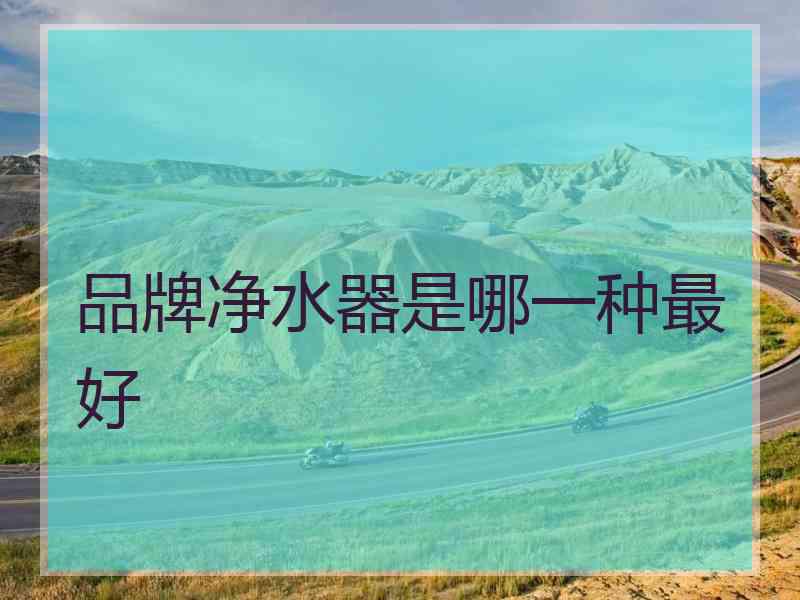 品牌净水器是哪一种最好