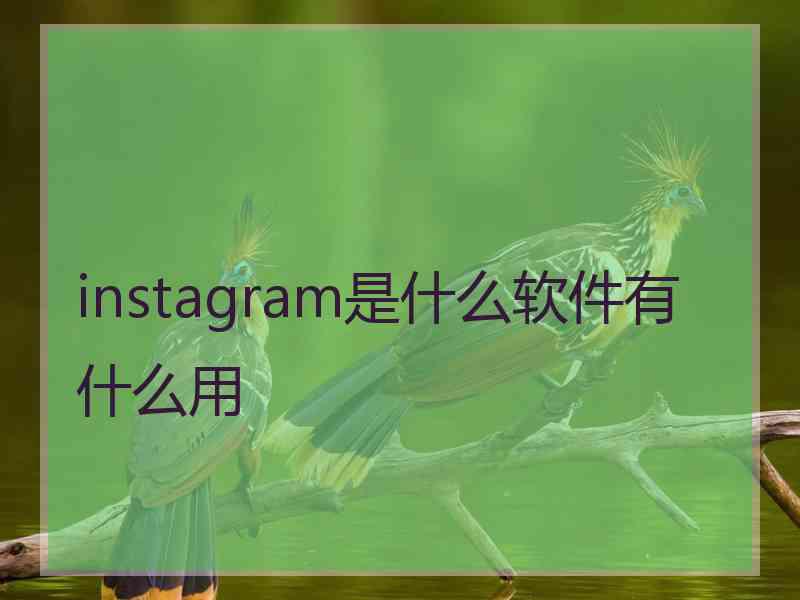 instagram是什么软件有什么用