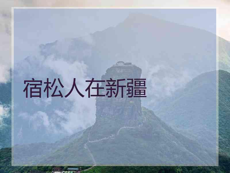 宿松人在新疆