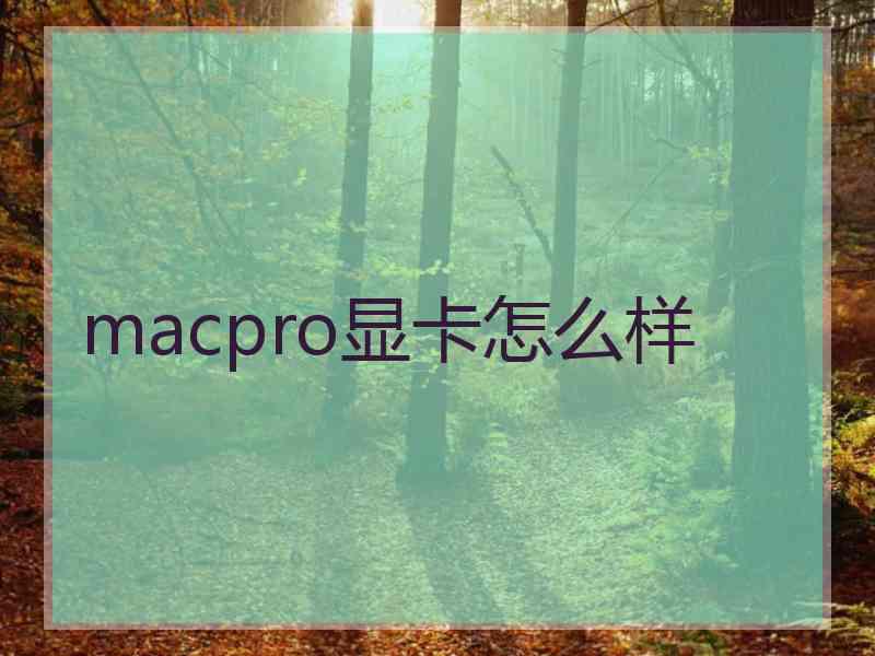 macpro显卡怎么样