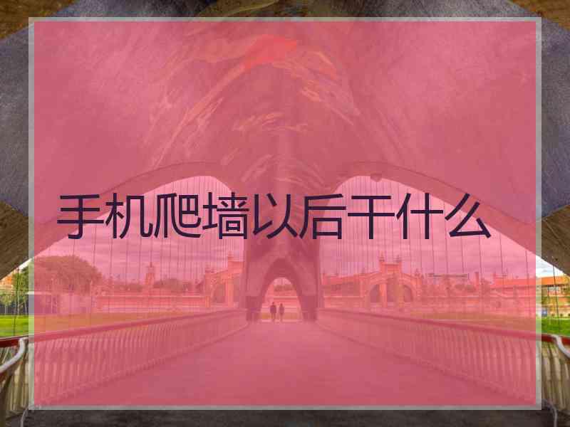 手机爬墙以后干什么