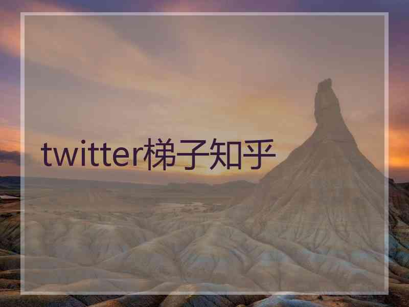 twitter梯子知乎