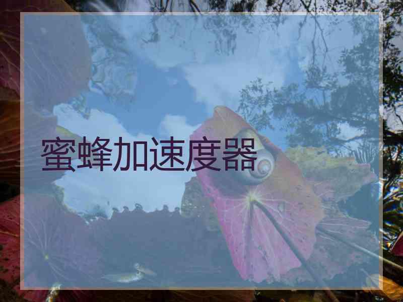 蜜蜂加速度器