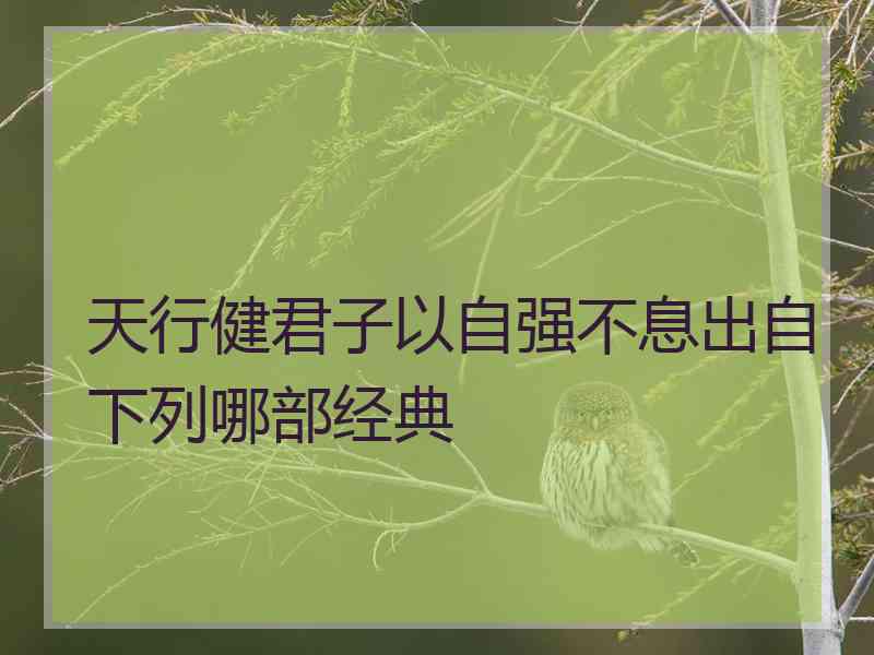 天行健君子以自强不息出自下列哪部经典