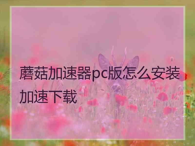 蘑菇加速器pc版怎么安装加速下载