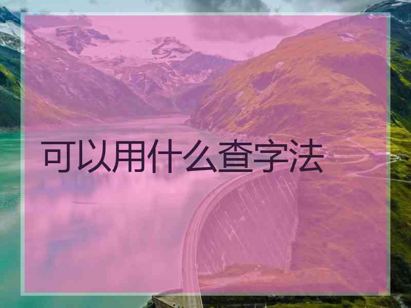 可以用什么查字法