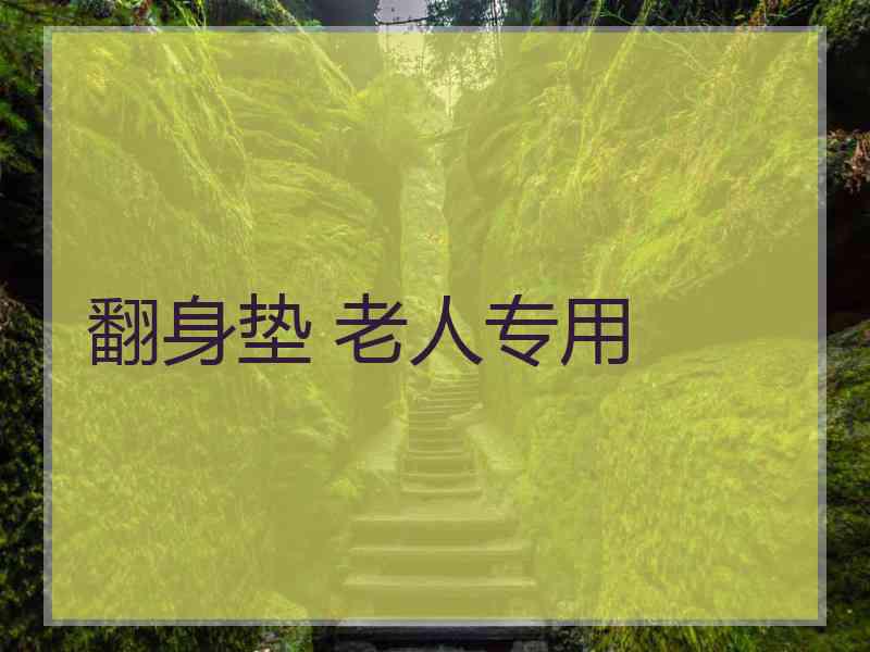 翻身垫 老人专用