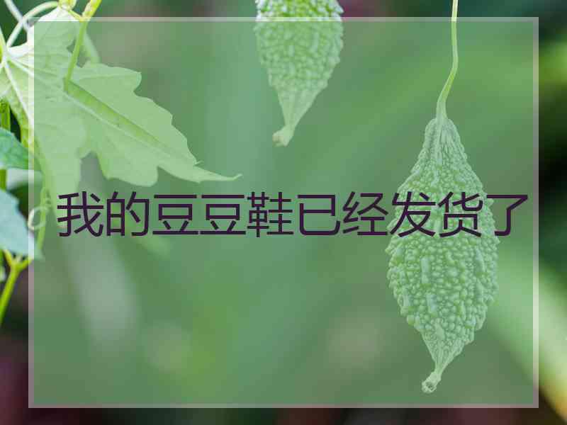 我的豆豆鞋已经发货了
