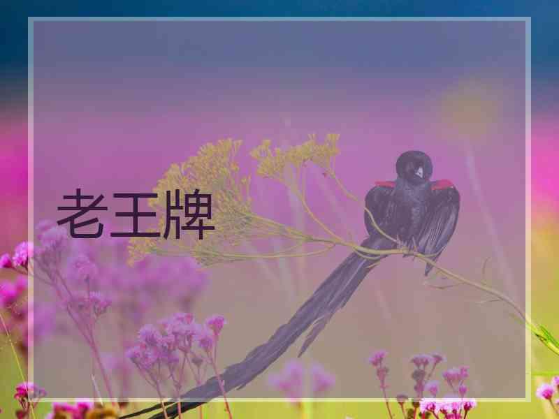 老王牌