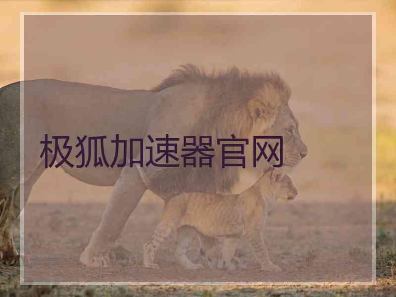 极狐加速器官网