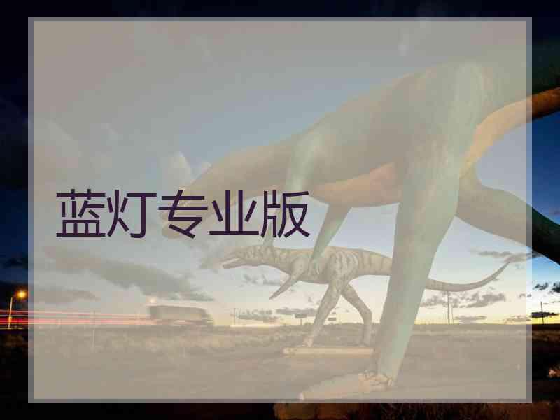 蓝灯专业版