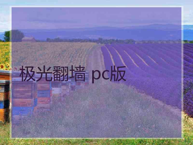 极光翻墙 pc版