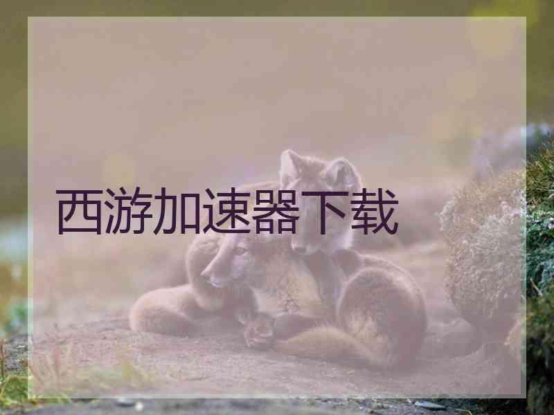 西游加速器下载