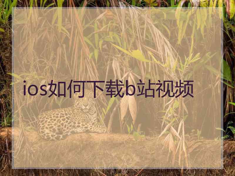 ios如何下载b站视频