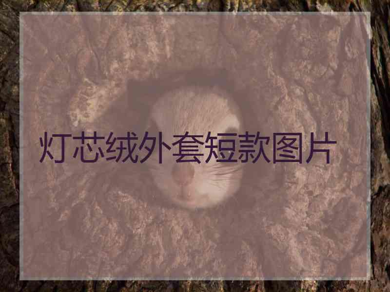 灯芯绒外套短款图片