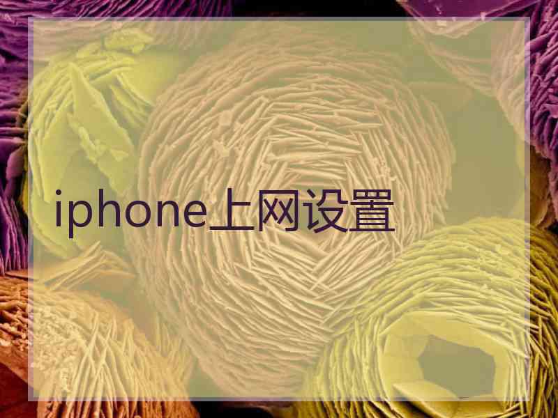 iphone上网设置