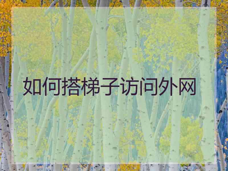 如何搭梯子访问外网