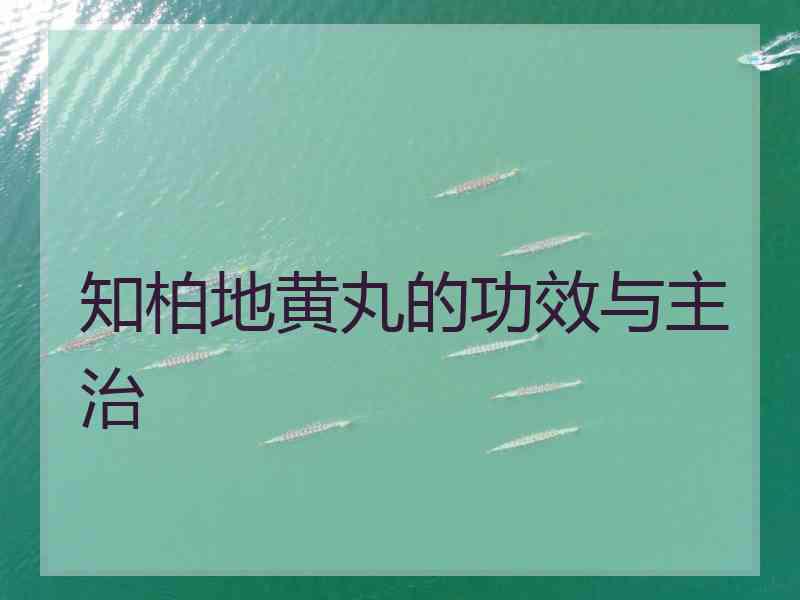 知柏地黄丸的功效与主治