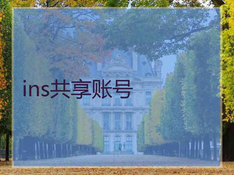 ins共享账号