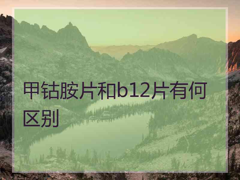 甲钴胺片和b12片有何区别