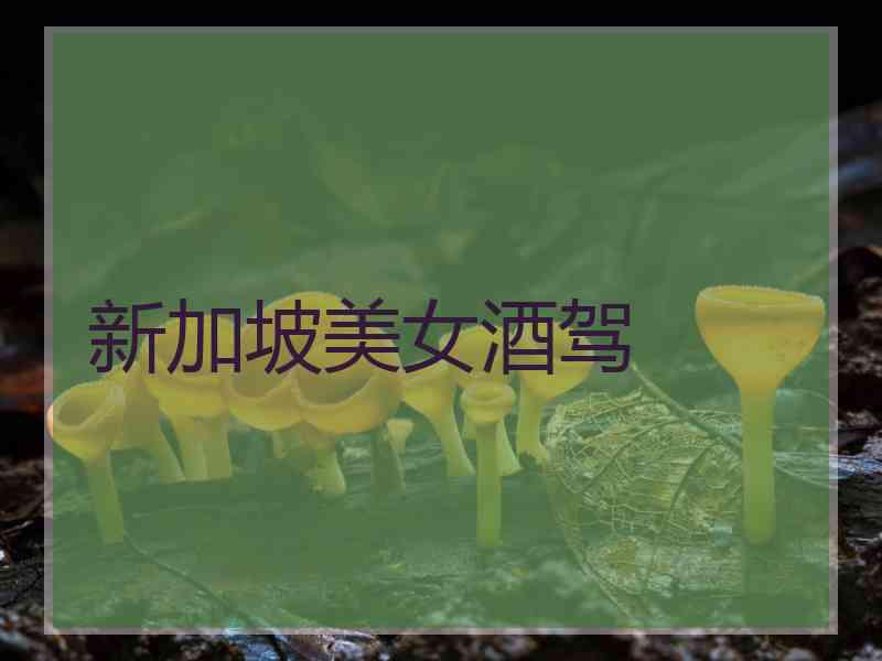 新加坡美女酒驾