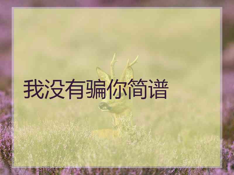 我没有骗你简谱
