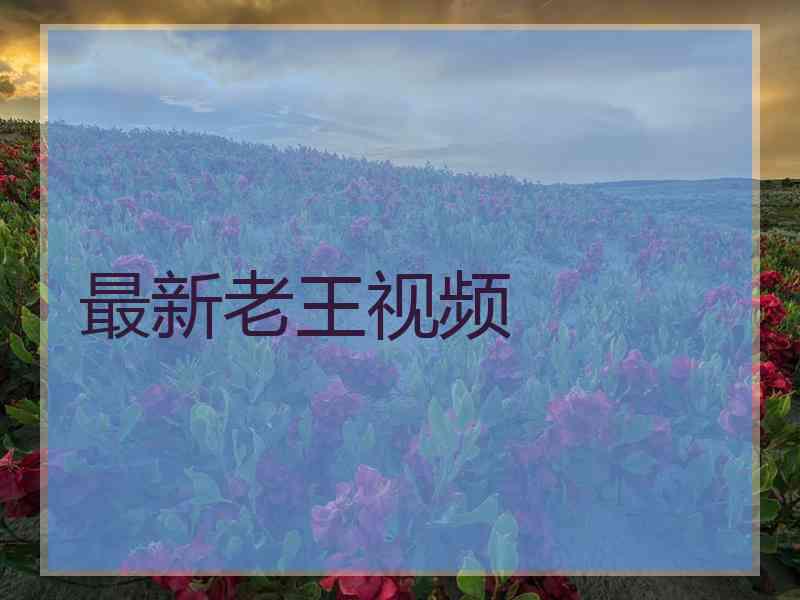 最新老王视频