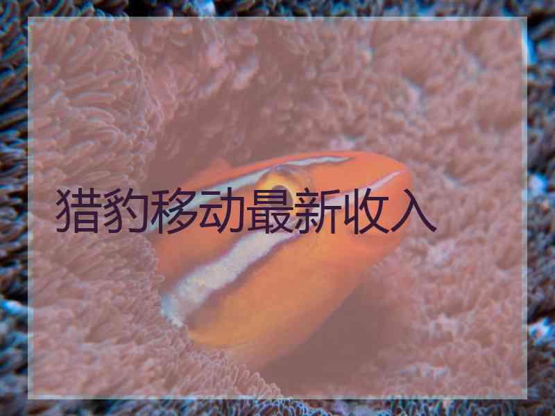 猎豹移动最新收入
