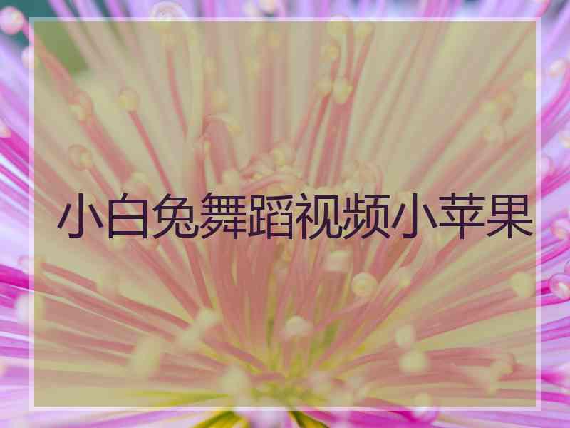 小白兔舞蹈视频小苹果