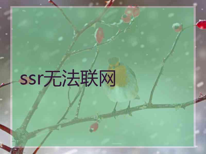ssr无法联网