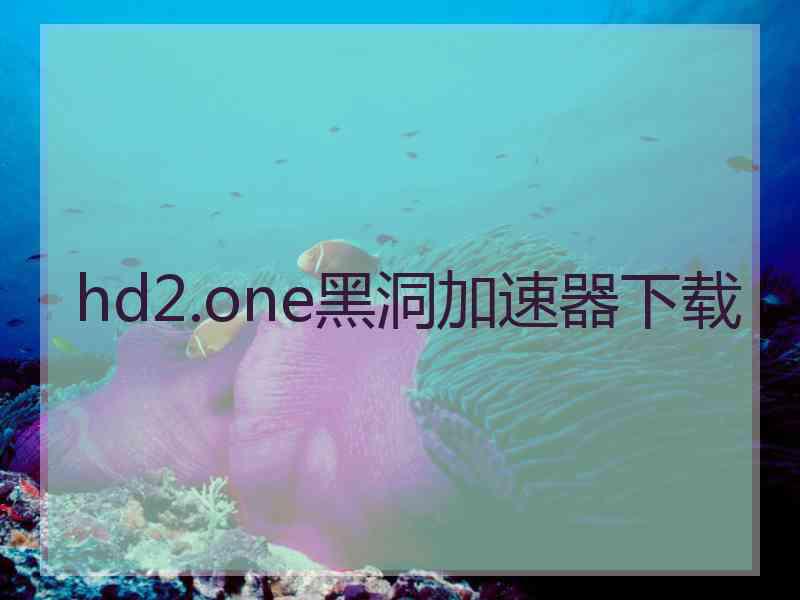hd2.one黑洞加速器下载