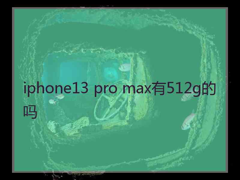 iphone13 pro max有512g的吗
